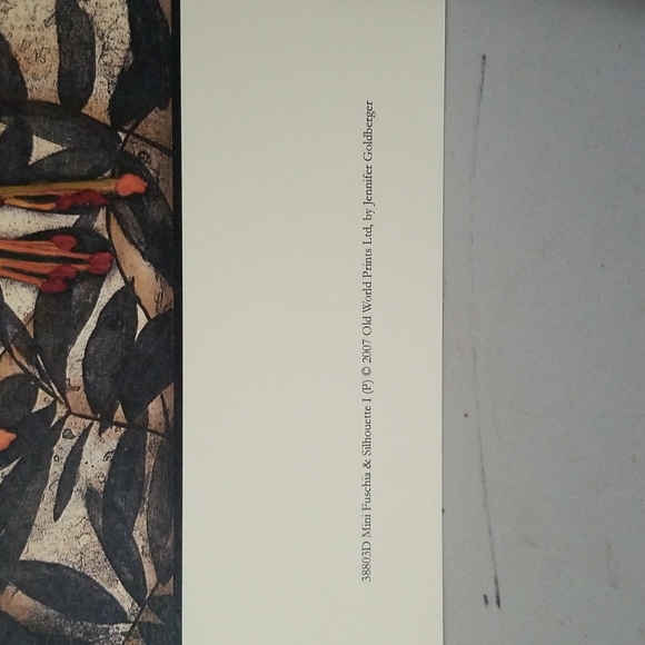 Flower Prints - Picture 4 of 6